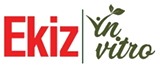 Ekiz in Vitro