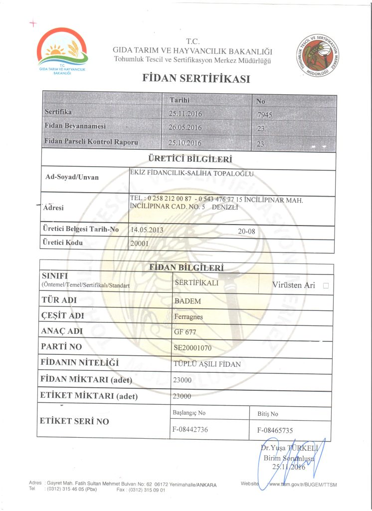 Badem fidan sertifikası