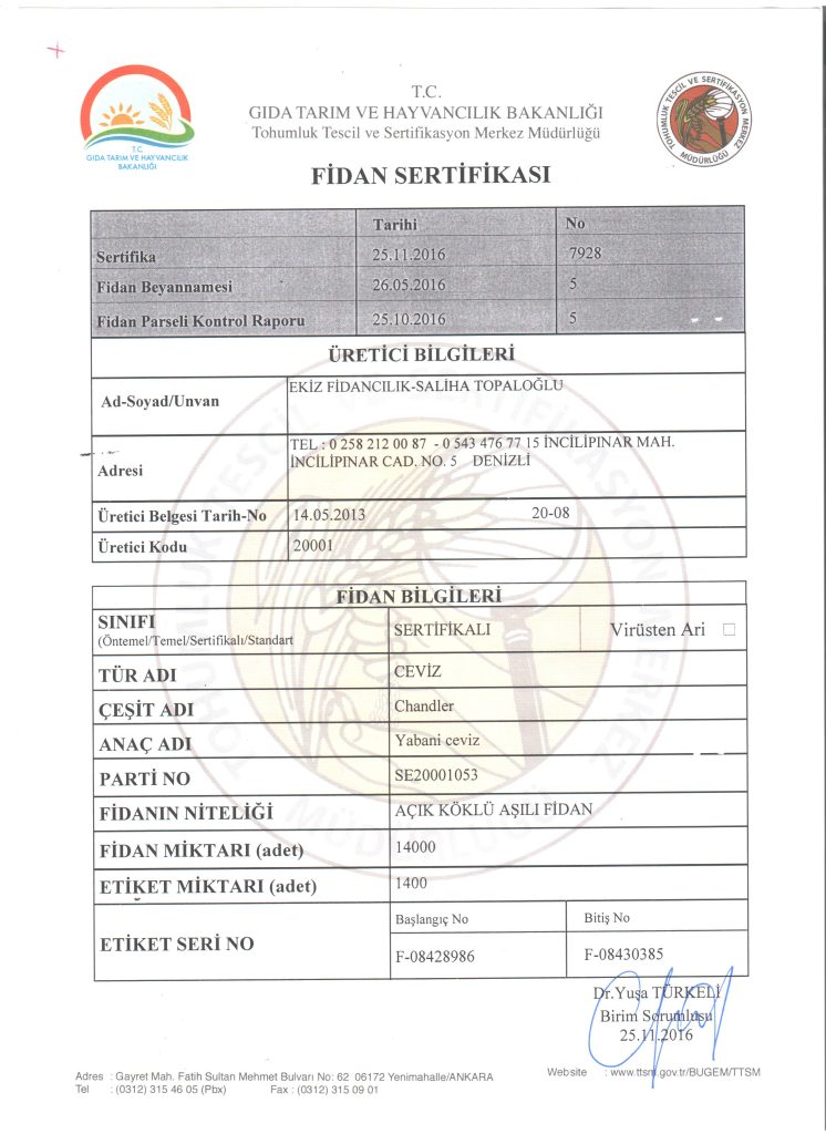 Ceviz fidan sertifikası